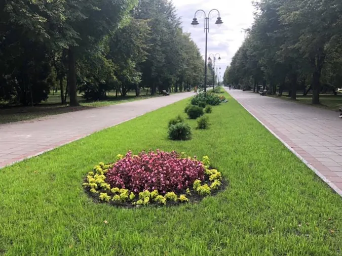 У центральному парку Луцька облаштують парковку за 875 тисяч