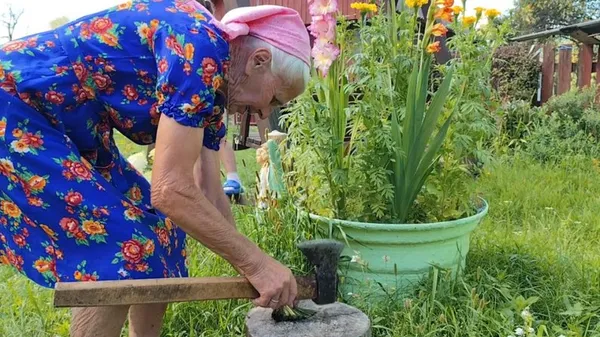 До переліку нематеріальної культурної спадщини Волині увійшли ще 4 елементи (фото, відео)