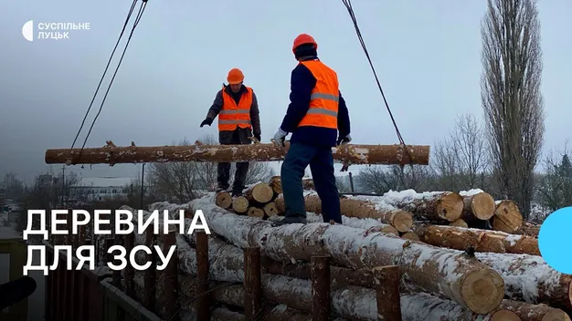 Найбільша партія за рік: на Волині готують до відправлення деревину для ЗСУ (відео)