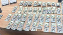 Не доїхали: на Волині викрили спробу підкупу прикордонника заради втечі до Польщі (фото)