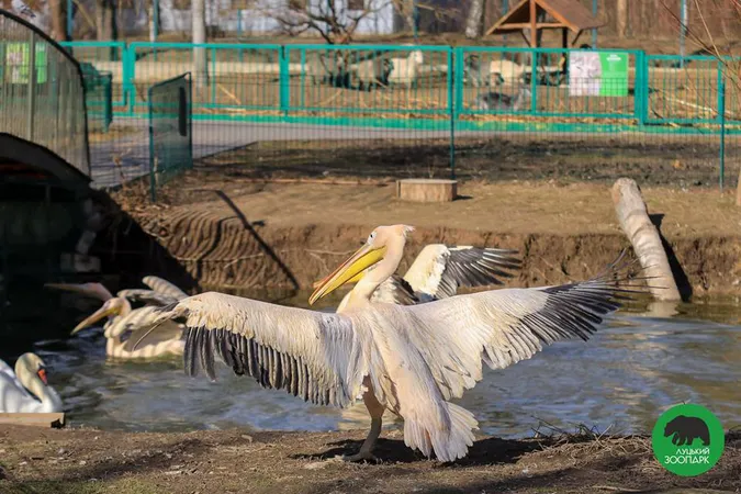 Як мешканці Луцького зоопарку ніжаться на весняному сонці (фото)