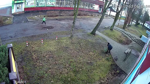 У місті на Волині жінка привселюдно вкрала екзотичну рослину (відео)