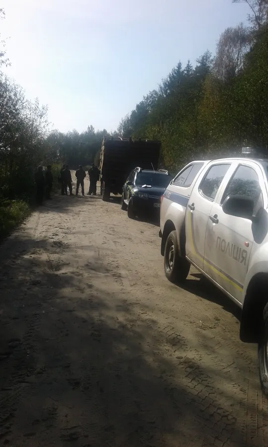 З Волинського військового лісгоспу вивезли деревину за «липовими» документами