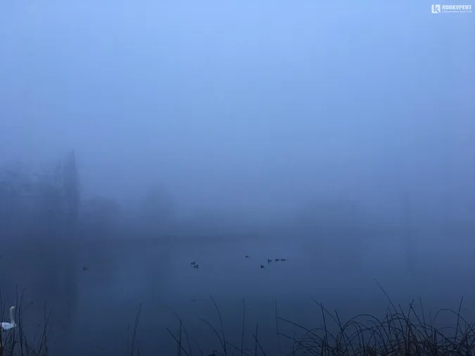 Напередодні Нового року Луцьк огорнув туман (фото)