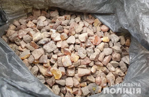 Бурштин і коноплі: поліція влаштувала обшуки в селах Луцького району (фото)