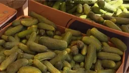 На базарі у Луцьку – огірковий бум: скільки коштує кілограм (відео)
