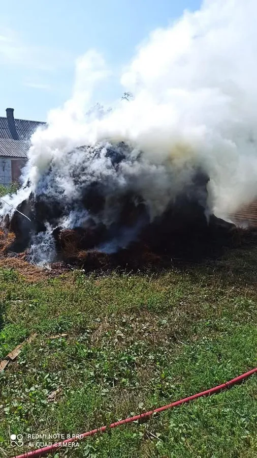 Бомби, шершні та пожежі: звіт волинських рятувальників за добу (фото)