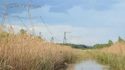 На історичній Волині причаїлося Чортове болото, що ховало повстанців УПА
