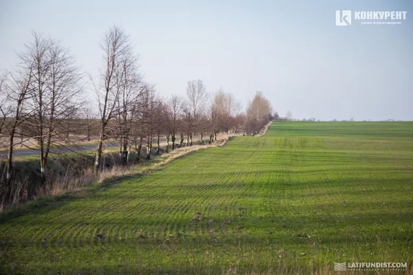 Як правильно вести агробізнес: секрети компанії «Волинь-Зерно-Продукт»