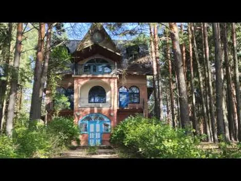 За 90 км від Луцька серед лісу причаїлось тихе неглибоке озеро неймовірної краси (фото, відео)