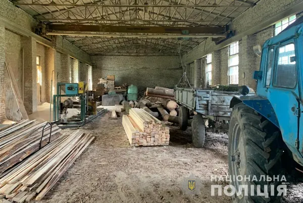 На волинських пилорамах знайшли незаконні дуби й сосни (фото)