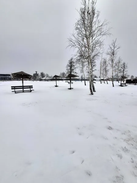 Космічні краєвиди: зима огорнула Світязь у білосніжну ковдру (фото)