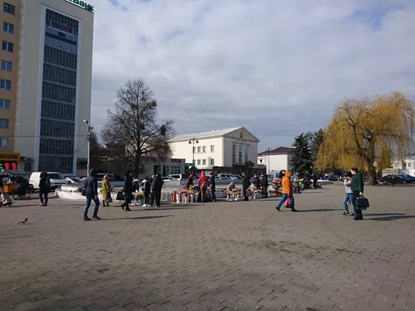 Ціни на квіти у Луцьку поки не зросли