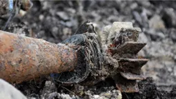 У лісі на Волині знайшли схрон боєприпасів німецької армії часів Другої світової війни (фото)