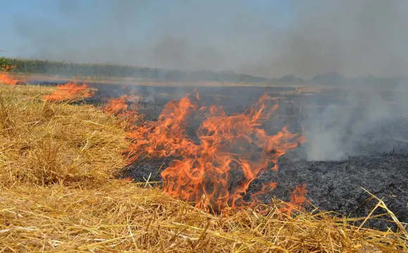На Волині оштрафували екопорушників