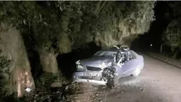 Постраждали пасажири авто: деталі вечірньої аварії під Луцьком