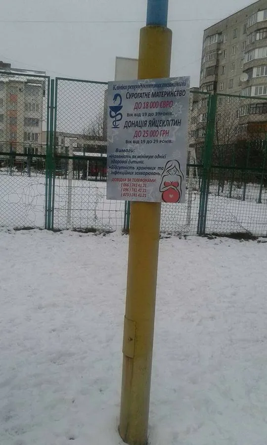 У Луцьку на стовпах рекламують сурогатне материнство (фото)