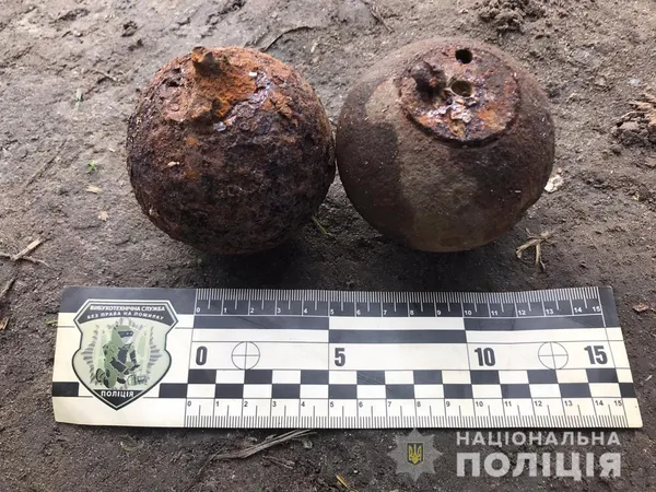 Карабін, набої і боєприпаси: у волинянина знайшли арсенал зброї (фото)