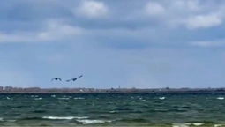 Світязь заштормило (відео)