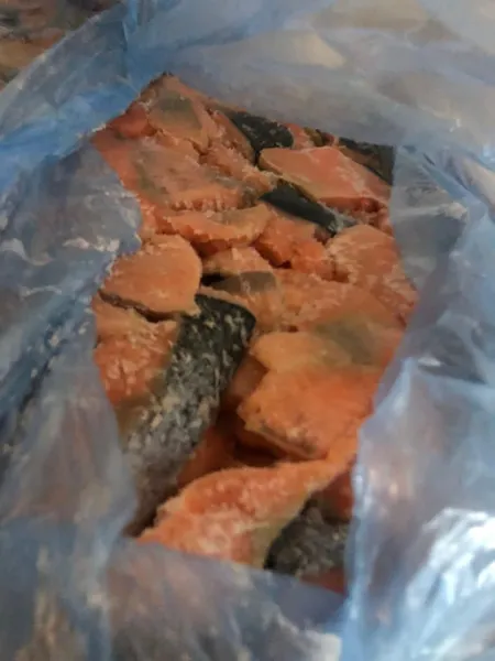 Перевищив норму в 230 разів: у «Ягодині» впіймали водія, який віз контрабандну рибу (фото)