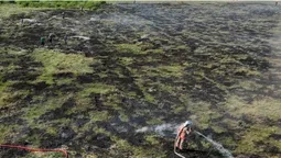На Волині горить торф'яник на площі 1 гектар (фото)
