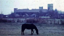 Не впізнаєте Луцьк: у мережі з'явились ретрофото серця Волині у 70-тих (фото)