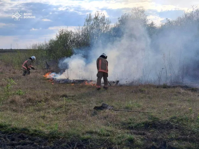Вогняний понеділок на Волині: рятувальники ліквідували чотири пожежі в екосистемах (фото)