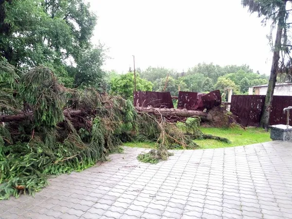 Як Луцьком пронеслася злива (фото, відео)
