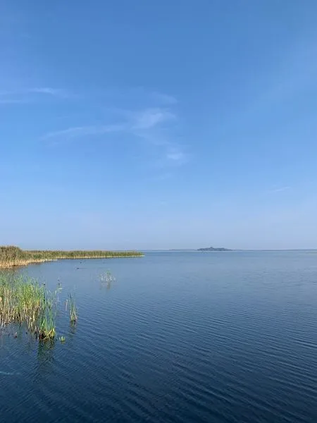 Після сезону відпочинку в Шацьких озерах перевірили якість води: що у ній знайшли (фото)