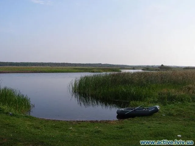 «Ні риби, ні води»: легендарне «щуче» озеро на Волині вкрилося водоростями (відео, фото)