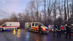 Бус злетів у кювет і врізався в дерево: подробиці смертельної ДТП у Луцькому районі (фото)
