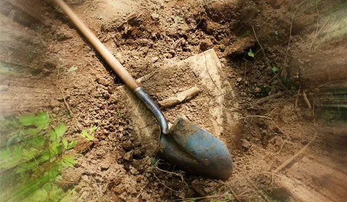 У волинських лісах затримали «чорних археологів»