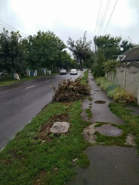Лучан каратимуть за гілля та будівельні відходи у сміттєвих контейнерах (фото)