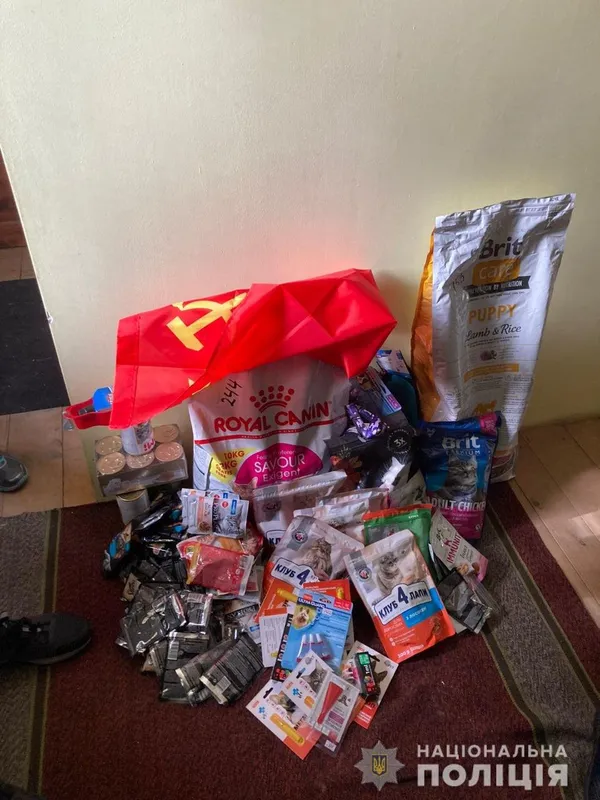 В Ірпені прихильниця «русского міра» грабувла будинки разом з орками (відео)