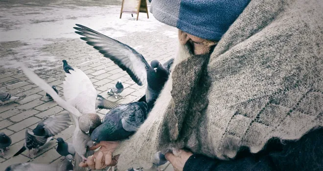 Історія баби Насті, яка годувала голубів у центрі Луцька