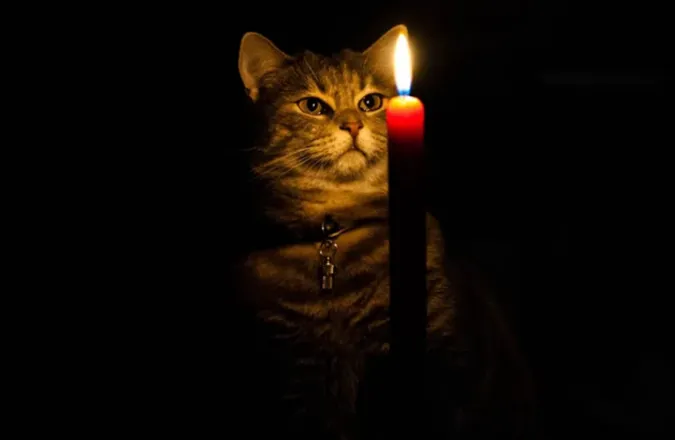 На Волині не вимикатимуть світло 10 лютого