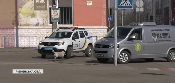 Пес має особливу місію – супроводжує Героїв, які повертаються «на щиті»