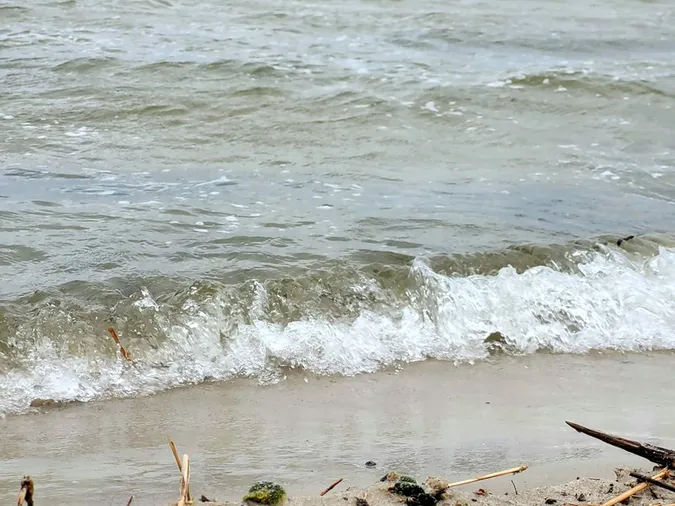 Після сезону відпочинку в Шацьких озерах перевірили якість води: що у ній знайшли (фото)