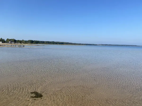 Вода відступила на 70 метрів: показали, яким став Світязь (фото)