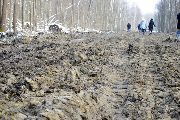 Тут невдовзі буде нова дорога