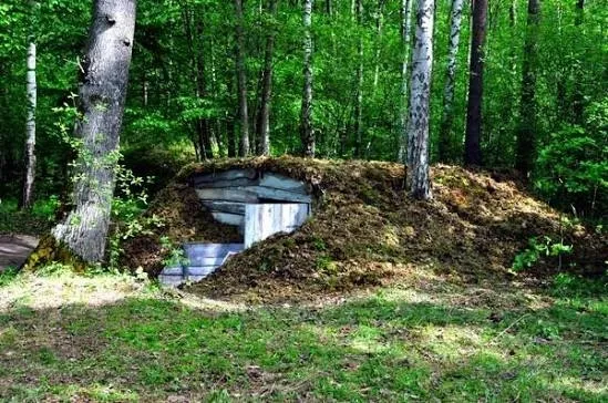 Тут колись жили під землею: серед лісу на Волині знайшли піч та землянки з моторошною історією (фото)