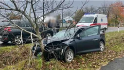ДТП у Торчині: авто з’їхало в кювет і врізалося в дерево