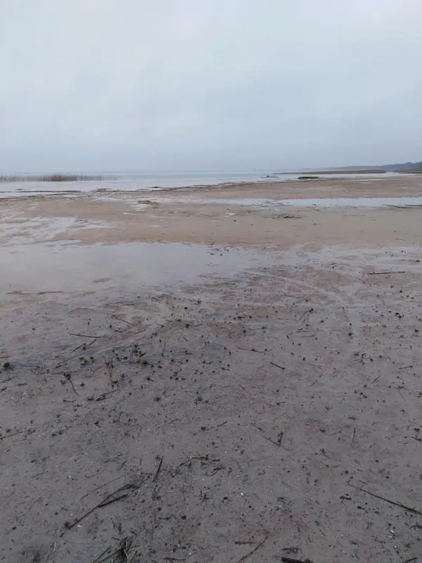Світязь повертається: показали свіжі фото з волинського озера (фото)