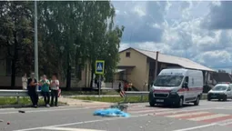 Дівчинку на Волині на смерть збила вантажівка, на водія відкрили кримінал (фото)
