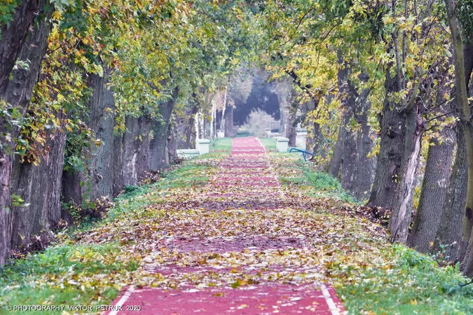 Жовтогаряча осінь у луцькому парку (фото)