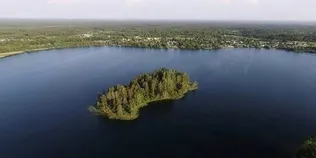 «Чифірний» колір та карстові глибини: на Поліссі серед лісів і боліт заховалося мальовниче озеро з островом у центрі (фото, відео)