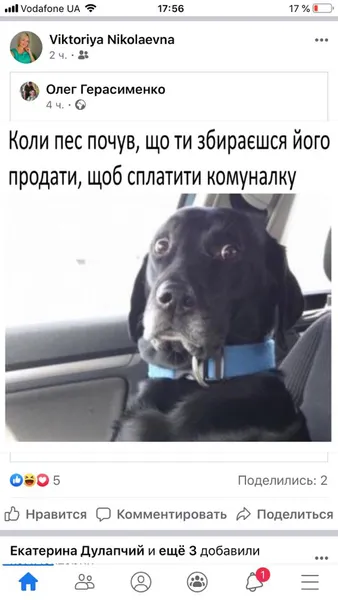 «У вас готівка?» «У мене собака», – соцмережі кепкують із нового конфузу Брагара