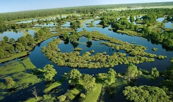 Від замків до озер: 7 найкрасивіших місць на Волині (фото)