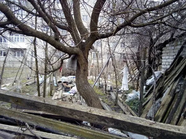 Кошмари на вулиці Рівненській: у Луцьку мішками рубають курей (фото)