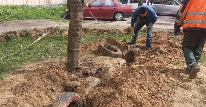 У Луцьку муніципали «видобули з надр» 152 шини за один день (фото)